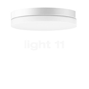 Bega 50649 Applique/Plafonnier LED blanc - 50649.1K3