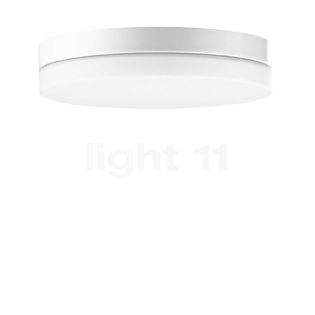 Bega 50649 Lampada da soffitto/parete LED bianco - 50649.1K3