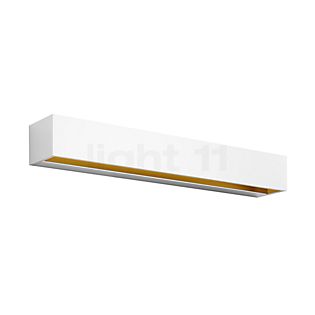 Bega 50819 - Studio Line Lampada da parete LED ottone/bianco - 50819.4K3