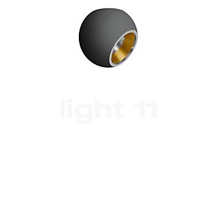 Bega 50847 - Studio Line Plafondlamp LED zwart/messing mat - 3.000 K - 50847.4K3