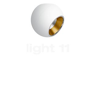 Bega 50850 - Studio Line Ceiling Light LED white/brass matt - 3,000 K - 50850.4K3