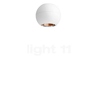 Bega 50856 - Studio Line Plafondlamp LED wit/koper mat - 3.000 K - 50856.6K3