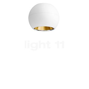 Bega 50857 - Studio Line Ceiling Light LED white/brass matt - 3,000 K - 50857.4K3