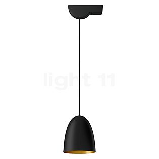 Bega 50952 - Studio Line Pendelleuchte LED Messing/schwarz, für geneigte Decken - 50952.4K3 + 13231