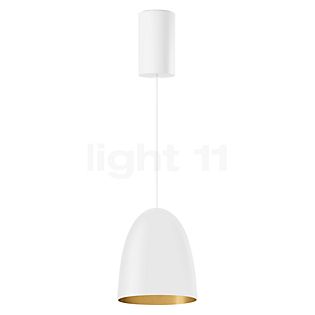 Bega 50960 - Studio Line Pendant Light LED brass/white, Bega Smart App - 50960.4K3+13227
