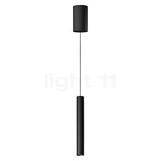 Bega 50983 - Studio Line Suspension LED cuivre/noir, Bega Smart appli - 50983.6K3 + 13281