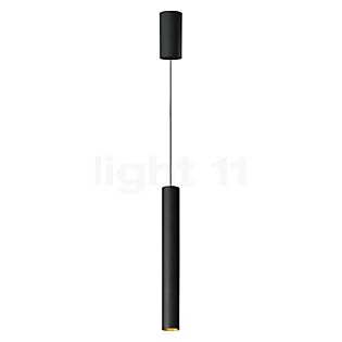 Bega 50984 - Studio Line Hanglamp LED messing/zwart, schakelbaar - 50984.4K3 + 13228