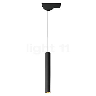 Bega 50984 - Studio Line, lámpara de suspensión LED latón/negro, para techos inclinados - 50984.4K3+13231