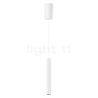 Bega 50985 - Studio Line Lampada a sospensione LED alluminio/bianco, Bega Smart App - 50985.2K3 + 13282