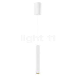 Bega 50985 - Studio Line Lampada a sospensione LED ottone/bianco, Bega Smart App - 50985.4K3+13282