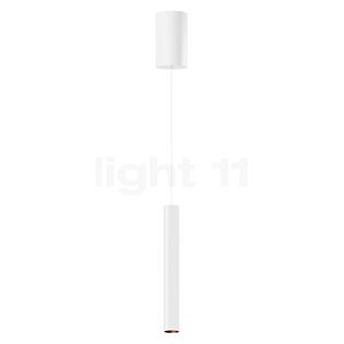 Bega 50985 - Studio Line Lampada a sospensione LED rame/bianco, Bega Smart App - 50985.6K3+13282