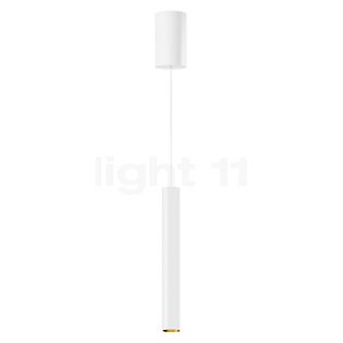 Bega 50986 - Studio Line Lampada a sospensione LED ottone/bianco, Bega Smart App - 50986.4K3+13282