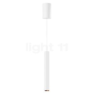 Bega 50986 - Studio Line Lampada a sospensione LED rame/bianco, Bega Smart App - 50986.6K3+13282