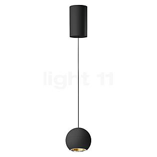 Bega 51008 - Studio Line Pendelleuchte LED Messing/schwarz, Bega Smart App - 51008.4K3+13281