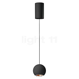 Bega 51008 - Studio Line Suspension LED cuivre/noir, Bega Smart appli - 51008.6K3 + 13281