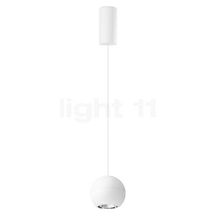 Bega 51010 - Studio Line Pendant Light LED aluminium/white, switchable - 51010.2K3 + 13229 , Warehouse sale, as new, original packaging