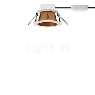 Bega 51071 - Studio Line Plafondinbouwlamp LED wit/koper mat - 3.000 K - 51071.6K3