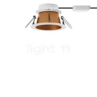 Bega 51072 - Studio Line Plafondinbouwlamp LED wit/koper mat - 3.000 K - 51072.6K3