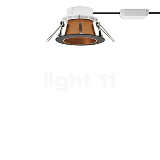 Bega 51074 - Studio Line Lampada da incasso a soffitto LED nero/rame opaco - 3.000 K - 51074.6K3