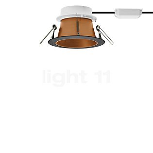 Bega 51075 - Studio Line Lampada da incasso a soffitto LED nero/rame opaco - 3.000 K - 51075.6K3