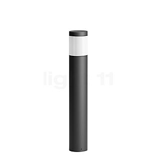 Bega 84311 - Bollard Light LED graphite - 3,000 K - 84311K3