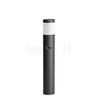 Bega 85052 - Bollard Light LED graphite - 85052K3