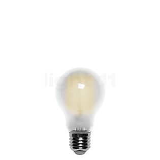 Bega A60-dim 7W/m 827, E27 Filament LED opaco - 13548