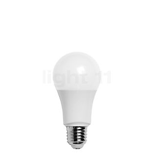 Bega A60-dim 9W/m 827, E27 Filament LED con Zigbee opaco - 13555