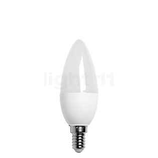 Bega C35-dim 5,3W/m 827, E14 Filament LED mit Zigbee matt - 13558