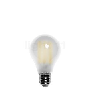Bega LED-Leuchtmittel für E27, 2700K, klar matt - 13512