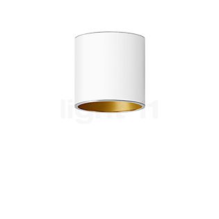 Bega Studio Line Lampada da soffitto downlight  LED cilindrica bianco/ottone opaco, 13,7 W - 50678.4K3