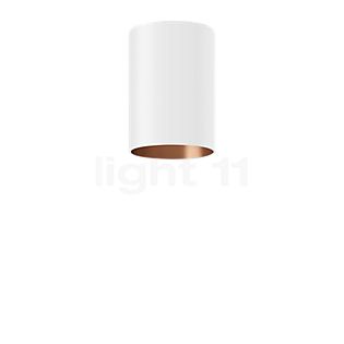 Bega Studio Line Plafondlamp LED cilindrisch wit/koper mat, 6,6 W - 50359.6K3