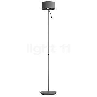 Belux Diogenes Floor Lamp LED graphite