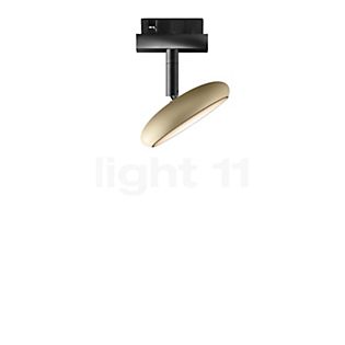 Bruck Blop Spot LED für Duolare Schiene champagner/schwarz - 60°