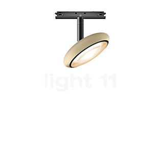 Bruck Blop Spot LED para All-in Riel champán/negro - 30°