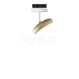 Bruck Blop Spot LED para Duolare Riel champán/blanco - 60°