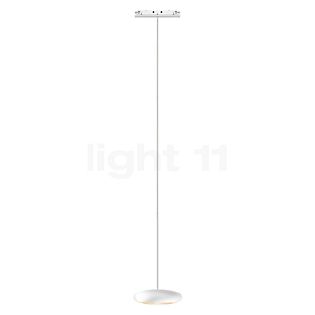 Bruck Blop, lámpara de suspensión LED para All-in Riel blanco - 60°