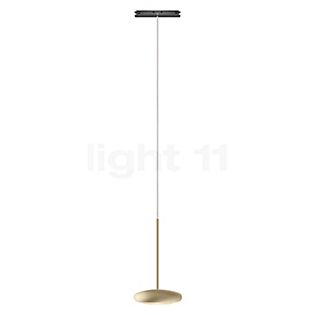 Bruck Blop, lámpara de suspensión LED para All-in Riel champán/negro - 60°