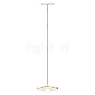 Bruck Euclid Suspension LED pour All-in Rail blanc