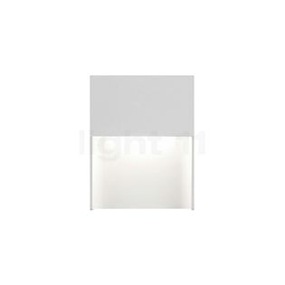 Delta Light Skov, lámpara de pared LED blanco - 10 cm - 3.000 K