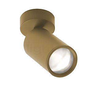 Delta Light Spy Focus On MP Spot de plafond LED doré