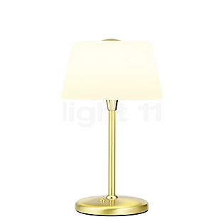 Elegance Lampe de table LED laiton mat