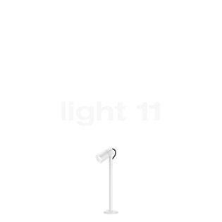 Flos Landlord Spot 30 cm LED bianco, 8°