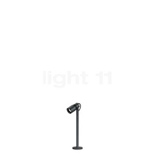 Flos Landlord Spot 30 cm LED nero, 8°