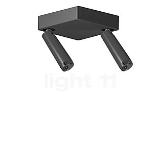 Grau Clear Ceiling Light LED 2 lamps black