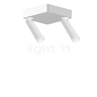 Grau Clear Ceiling Light LED 2 lamps white