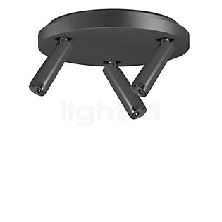 Grau Clear Ceiling Light LED 3 lamps black