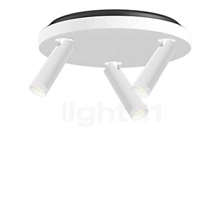 Grau Clear Ceiling Light LED 3 lamps white