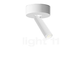 Grau Clear Ceiling Light LED white