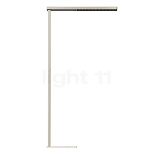 Grau Essence Lampadaire LED sable